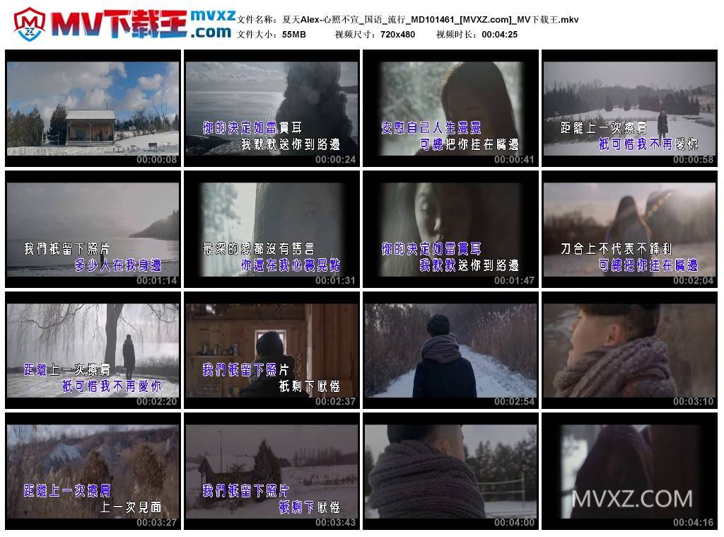 夏天Alex-心照不宣_国语_流行_MD101461